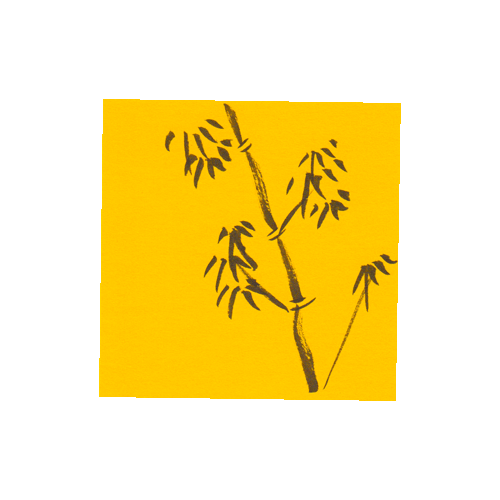 sticky sketch